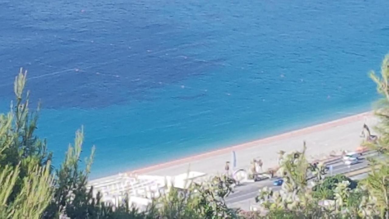 Le Terre Del Drago Apartment Bergeggi Buitenkant foto